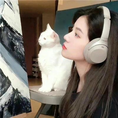 天蝎星升起